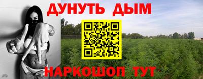 ГАЛЛЮЦИНОГЕННЫЕ ГРИБЫ Тулун