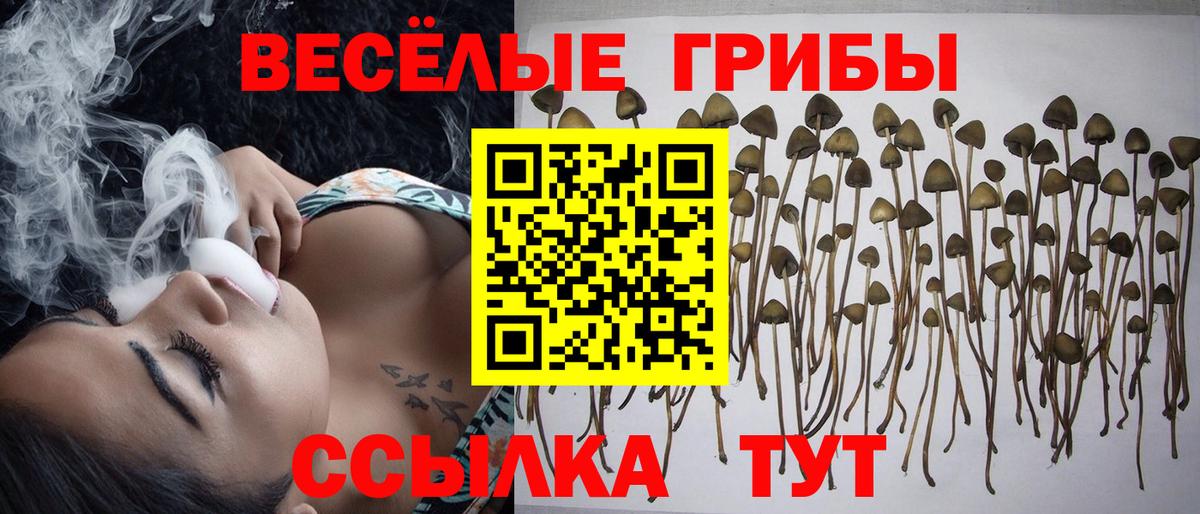 Галлюциногенные грибы Magic Shrooms Полысаево