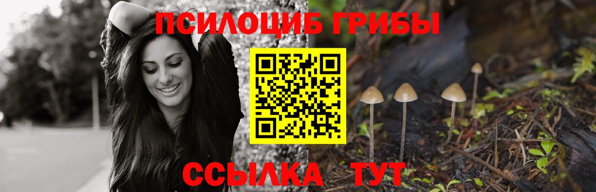 Псилоцибиновые грибы ЛСД  Вход с VPN  Полысаево 